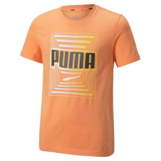 PUMA 847292 40