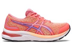 ASICS 1014A270 700