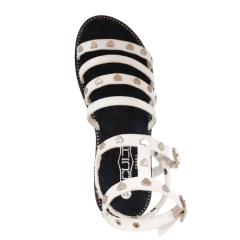 CULT CLJ003904