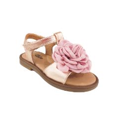 PLATIS P3153