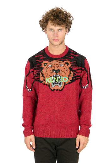 felpa converse firebird